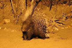 45398297_10212903660363036_4462467378411732992_n