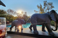 WhatsApp-Image-2024-04-30-at-19.06.29_821c97ad-2