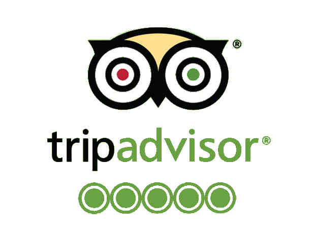 tripadvisor