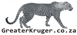 Greater Kruger / Hoedspruit.net link